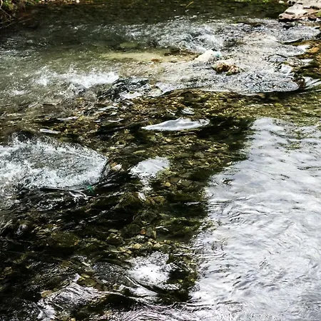 Essentia شقة بودْسْتغانا